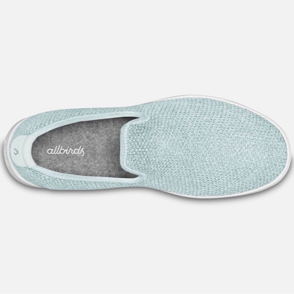 Allbirds not used